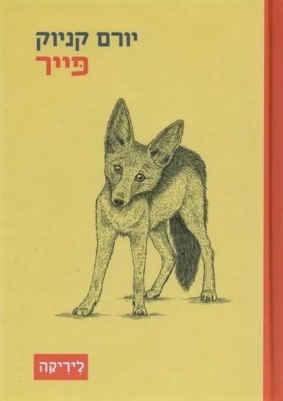 פייר