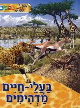 בעלי חיים מדהימים