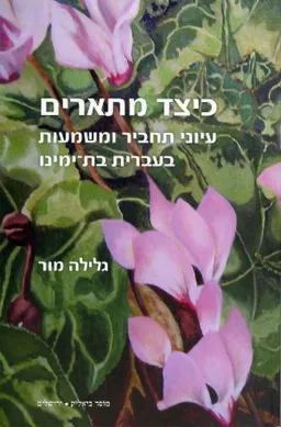כיצד מתארים