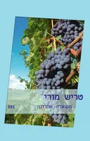משאלה אחרונה(591)