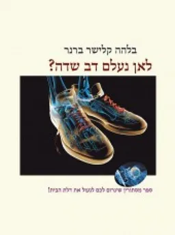 לאן נעלם דב שדה?
