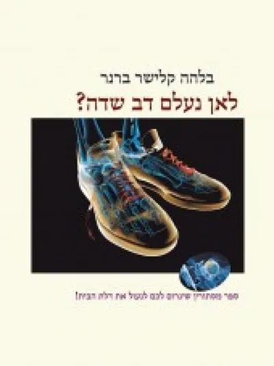 לאן נעלם דב שדה?