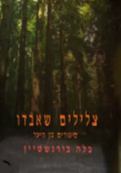 צלילים שאבדו