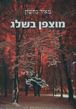 מוצפן בשלג