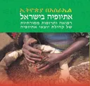 אתיופיה בישראל