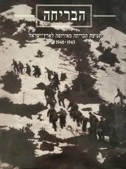 עטיפת הספר הבריחה מאת אשר בן-נתן