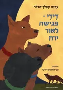 דידי - פגישה לאור ירח