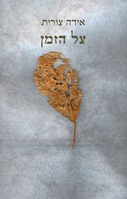 עטיפת הספר צל הזמן  מאת אידה צורית