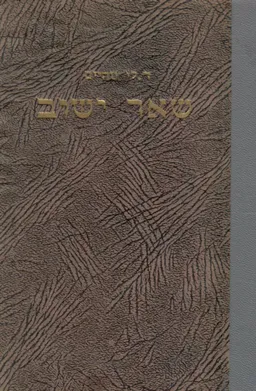 שאר ישוב