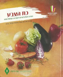 כח הצבע