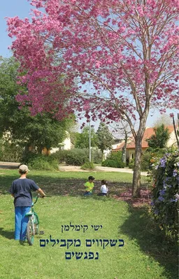 כשקווים מקבילים נפגשים
