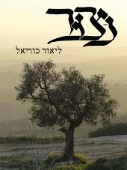 עטיפת הספר נצור מאת ליאור כוריאל
