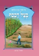 בצל הכסף - מחודש