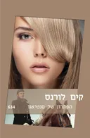 הפתרון של סנטיאגו