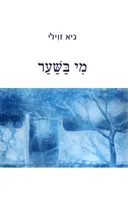 מי בשער