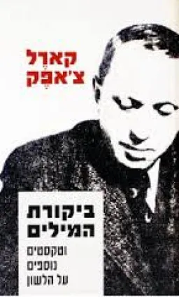 ביקורת המילים