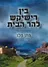  בין רישיקש להר הבית 