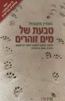 טבעת של מים זוהרים