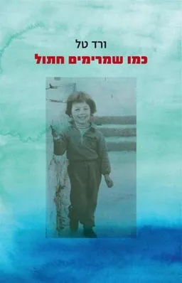כמו שמרימים חתול