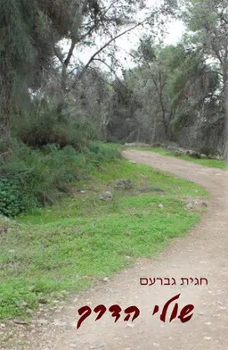 שולי הדרך