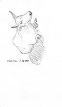 יותר מ-7
