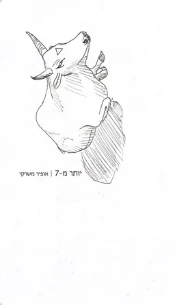 יותר מ-7