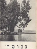 גנוסר