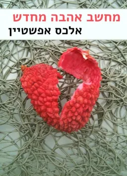 עטיפת הספר מחשב אהבה מחדש מאת אלכס אפשטיין
