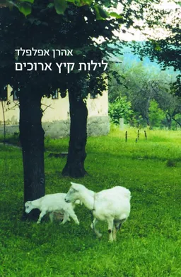 עטיפת לילות קיץ ארוכים