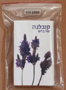 קובלנה של בלש