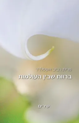 ברווח שבין העולמות