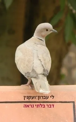 עטיפת הספר דבר בלתי נראה מאת לי עברון