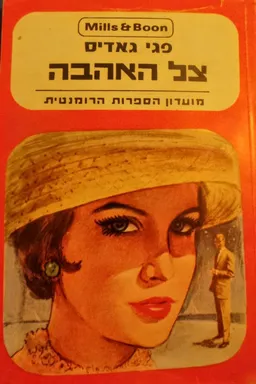עטיפת הספר צל האהבה מאת פגי גאדיס