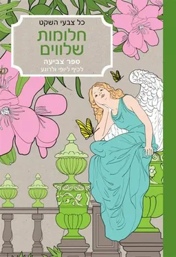 עטיפת הספר כל צבעי השקט - חלומות שלווים מאת סופי לבלן ואן-מרגו רמסטיין