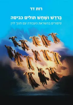 עטיפת הספר ברדש ושחש תולים כביסה מאת רות דר
