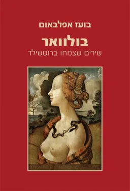 עטיפת הספר בולוואר  מאת בועז אפלבאום