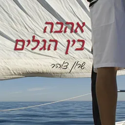 אהבה בין הגלים