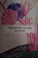 שם רגלי מוליכות אותי