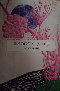 עטיפת הספר שם רגלי מוליכות אותי מאת אירית דברת