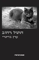 חתול רחוב