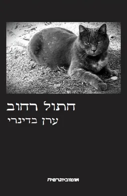 חתול רחוב
