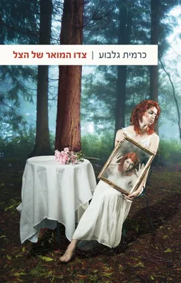 צדו המואר של הצל