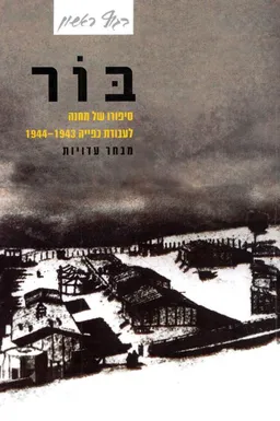 בור