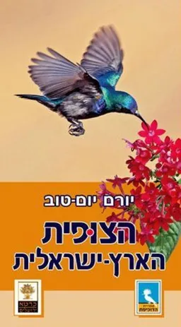 עטיפת הספר הצופית הארץ ישראלית מאת יורם יום טוב