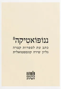ננופואטיקה 8:  גליון שירה קונספטואלית