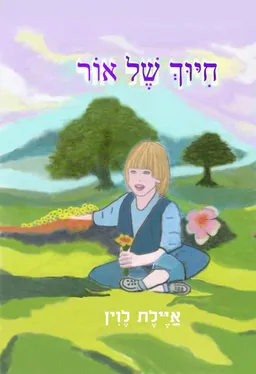 עטיפת הספר חיוך של אור מאת איילת לוין