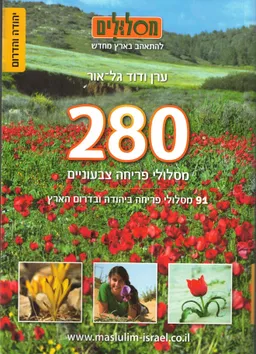 280 מסלולי פריחה צבעוניים