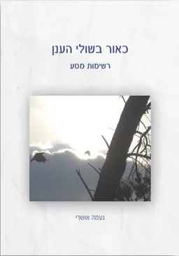 כאור בשולי הענן