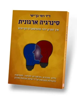 סינרגיה ארגונית