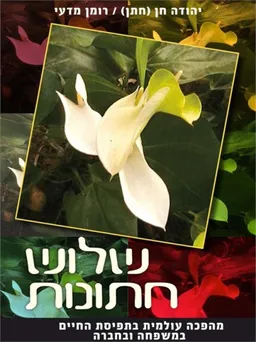 עטיפת הספר שלוש חתונות מאת יהודה חן